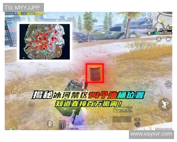 专访黄芳揭秘和平精英成功背后的策略与创新思维 专访黄芳揭秘和平精英成功背后的策略与创新思维